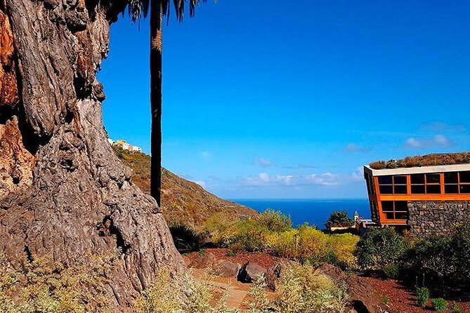 Tenerife Highlights Full-Day Tour - Icod de los Vinos and the Drago Tree: wine country with a side of legend