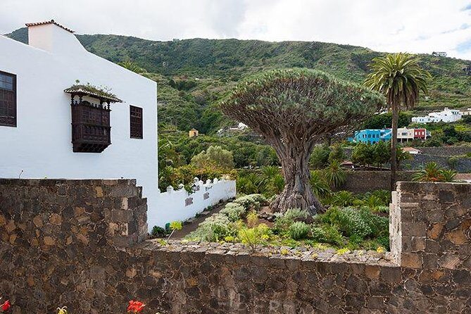 Tenerife Highlights Full-Day Tour - Garachico on the north coast: black sand and a 1706 turning point
