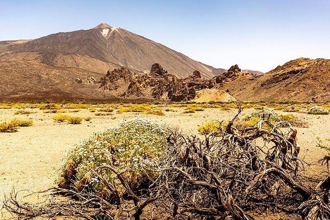 Tenerife Highlights Full-Day Tour - Masca Valley: tiny hamlet, huge La Gomera views