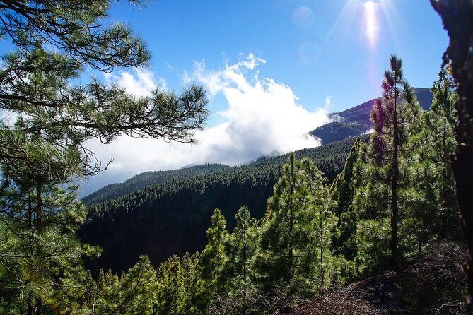 Tenerife Highlights VIP Custom Private Tour - photos included - Should you book this Tenerife Highlights VIP Custom Private Tour?