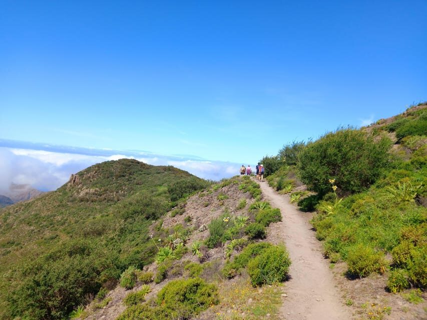 Tenerife: Hiking Above the Village of Masca - Why Hiking Above Masca Feels Different From the Gorge Hike