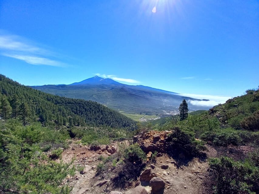Tenerife: Hiking Above the Village of Masca - What to Bring: Lunch, 2L of Water, and Rainforest Layers