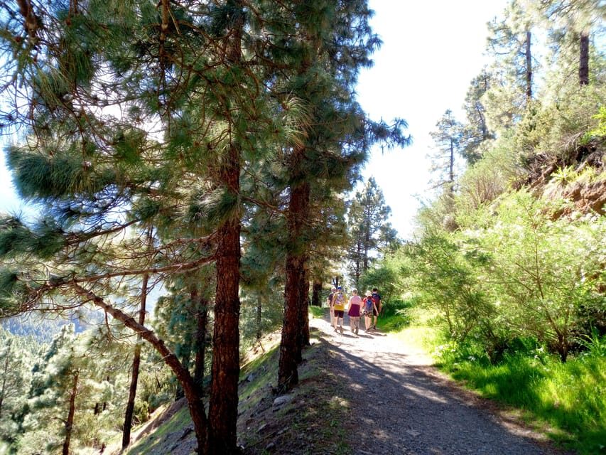 Tenerife: Hiking Above the Village of Masca - The Sub-Tropical Rainforest Walk: Why a Waterproof Jacket Is Non-Negotiable