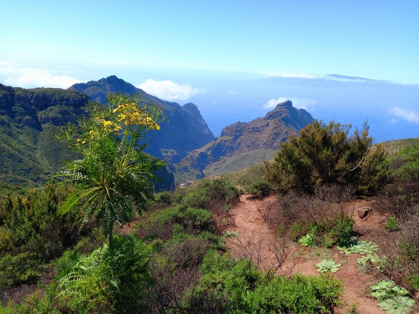 Tenerife: Hiking Above the Village of Masca - The Sound of Music-Style Views: Masca Gorge and Teide on Clear Days
