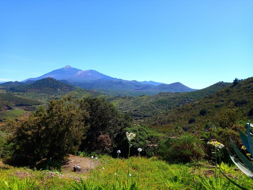 Tenerife: Hiking Above the Village of Masca - Duration, Distance, and Difficulty: Is It Actually Moderate?