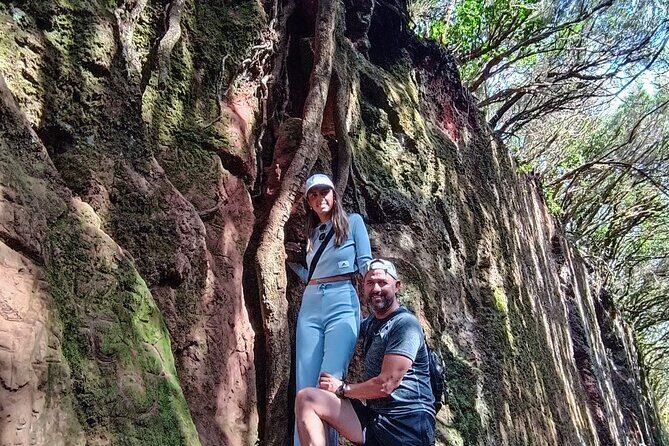 Tenerife: Hiking Tour in Anaga Mountains and Enchanted Forest - Key Things to Know Before You Go