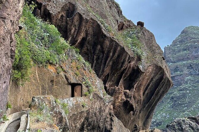 Tenerife: Hiking Tour in Anaga Mountains and Enchanted Forest - How Hard Is It Really: 7 km and 250 M of Climb
