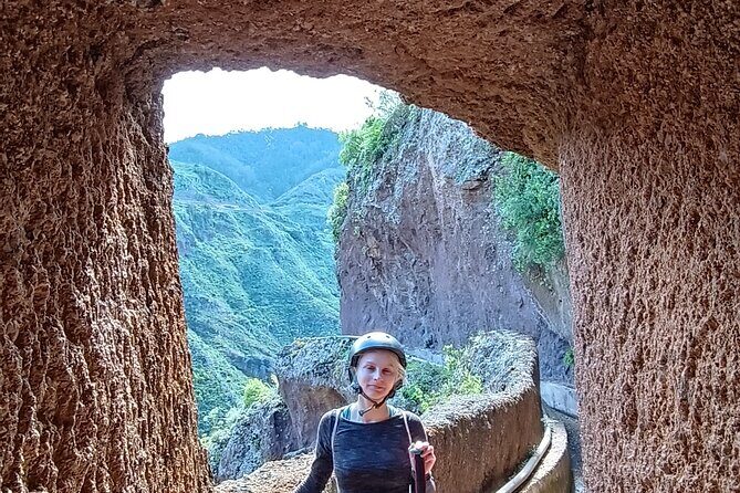 Tenerife: Hiking Tour in Anaga Mountains and Enchanted Forest - The Enchanted Forest Intro: Laurel Trees and Misty Mood