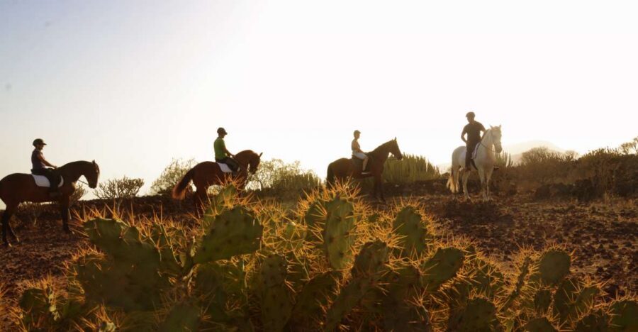 Tenerife: Horseback Ride with Instructor - Key Things I’d Book This For