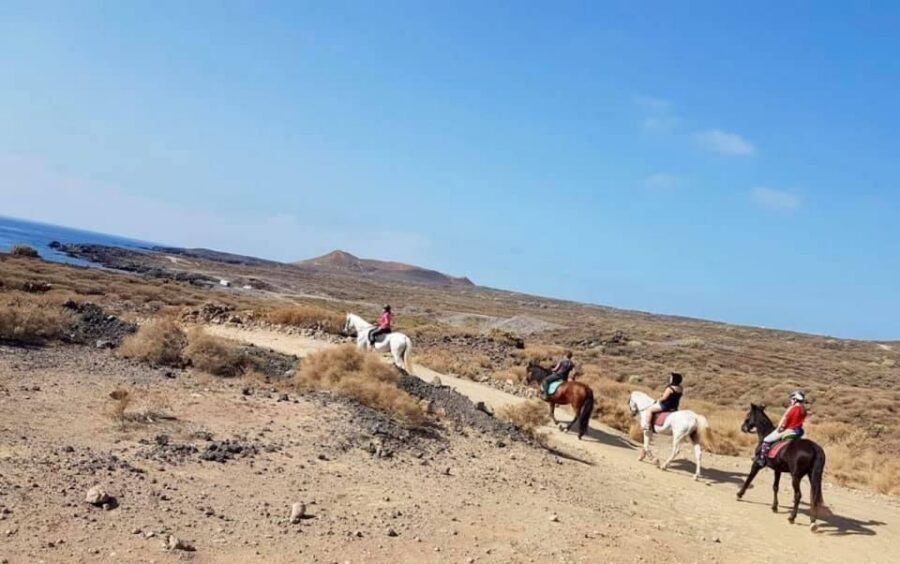 Tenerife: Horseback Ride with Instructor - Why A Horse Ride From Xanadu Park Feels Like Tenerife, Not A Theme Park