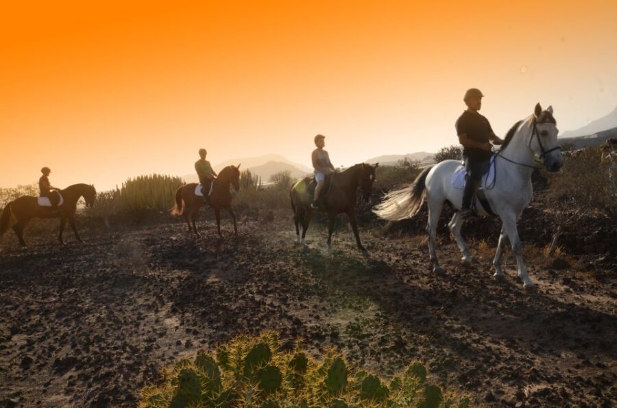 Tenerife: Horseback Ride with Instructor - Your Route Options: 1 Hour vs 2 Hours To The Coast
