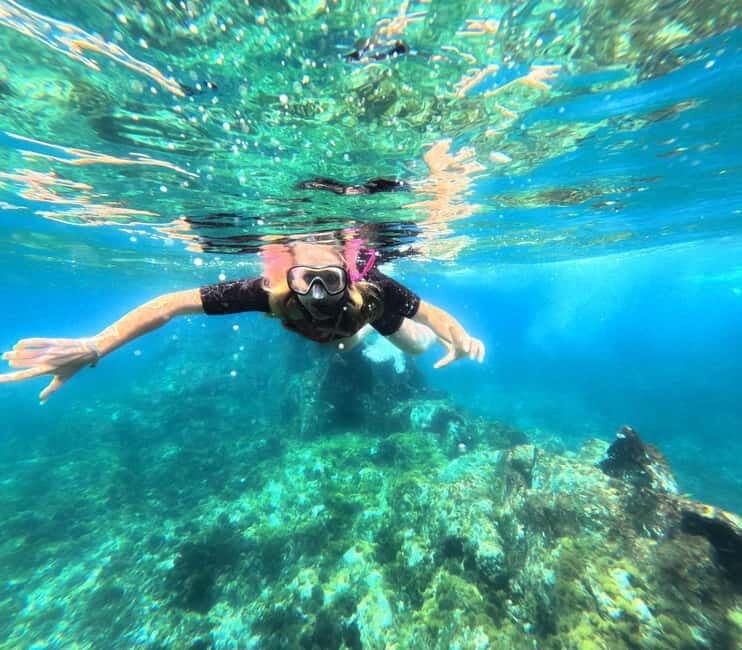 Tenerife: Kayak and Snorkeling Tour with Marine Life - Entering the Palm-Mar nature reserve mindset, not just the water