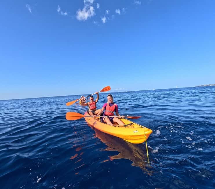 Tenerife: Kayak and Snorkeling Tour with Marine Life - Kayaking the Tenerife coast: why cliffs and coves matter for wildlife