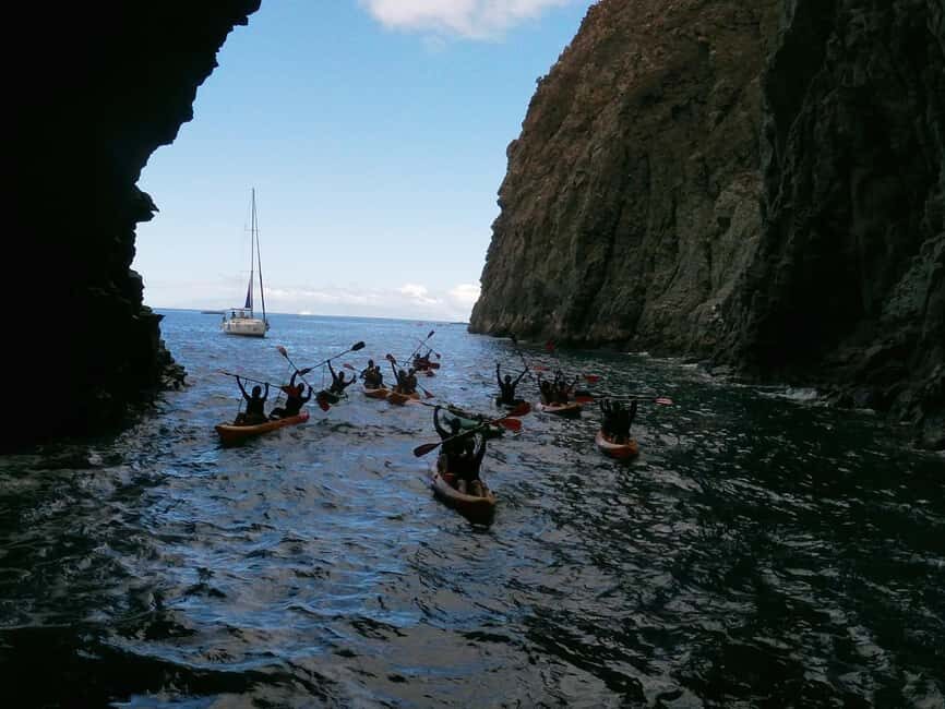 Tenerife: Kayak and Snorkeling Tour with Marine Life - Price and value: does $51 make sense for this kind of tour?
