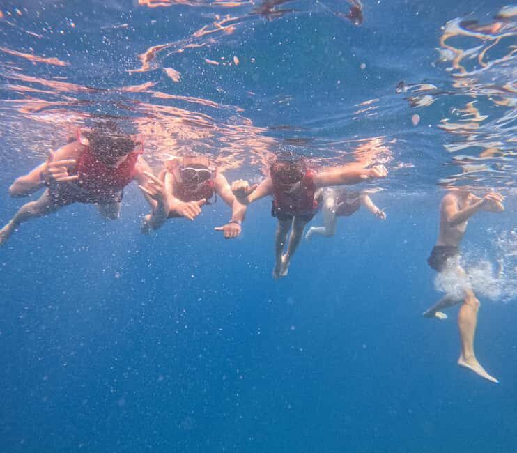 Tenerife: Kayak and Snorkeling Tour with Marine Life - Who should book this Tenerife kayak-and-snorkel experience (and who shouldn’t)