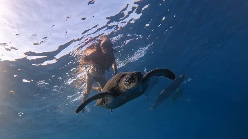Tenerife: Kayak and Snorkeling Tour with Photos - Los Cristianos Meets the Atlantic: What the Trip Feels Like