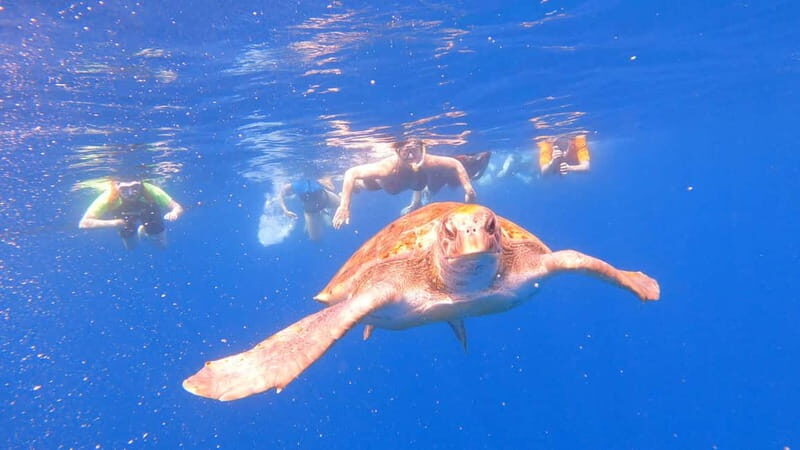 Tenerife: Kayak and Snorkeling Tour with Photos - Kayaks Without the Beach Haul: Why This Company’s Setup Matters