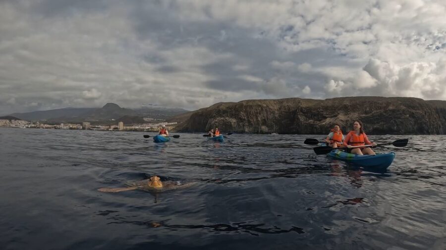 Tenerife: Kayak and Snorkeling Tour with Photos - Equipment, Safety, and What’s Provided