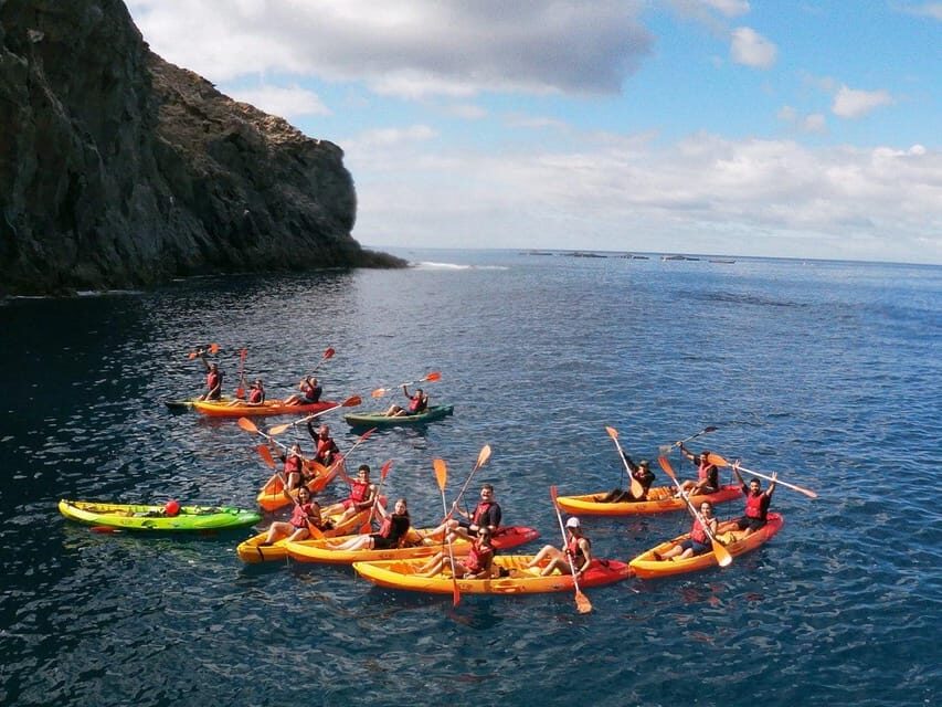Tenerife: Kayak & Snorkeling, Marine Fauna Watching - Secret stop 1: photo time and marine life viewing (and not disturbing it)