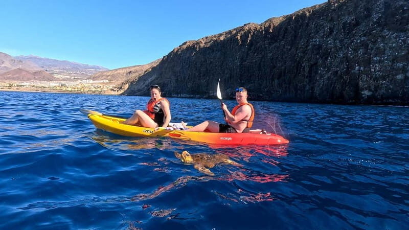 Tenerife: Kayak & Snorkeling Tour - Small Groups - Why This Kayak + Snorkel Route Works in Los Cristianos