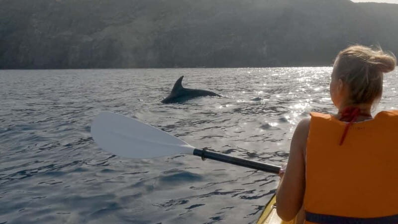 Tenerife: Kayak & Snorkeling Tour - Small Groups - Getting Back Ashore: A Relaxed Paddle and Freshwater Showers