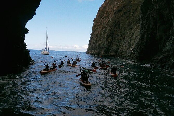 Tenerife Kayak Tour with Marine Wildlife Spotting and Snorkeling - Timing and pacing: how the 3 hours may feel