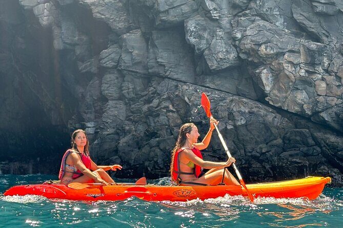 Tenerife Kayak Tour with Marine Wildlife Spotting and Snorkeling - Quick decision: should you book this Tenerife kayak tour?