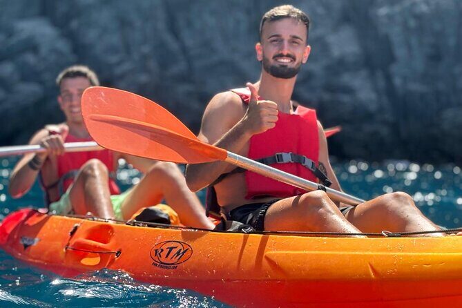 Tenerife Kayak Tour with Marine Wildlife Spotting and Snorkeling - Wildlife spotting: turtles and dolphins, plus how to actually see them