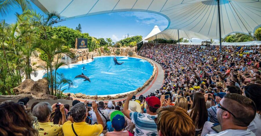 Tenerife: Loro Parque Entry Ticket - Key things to know before you go