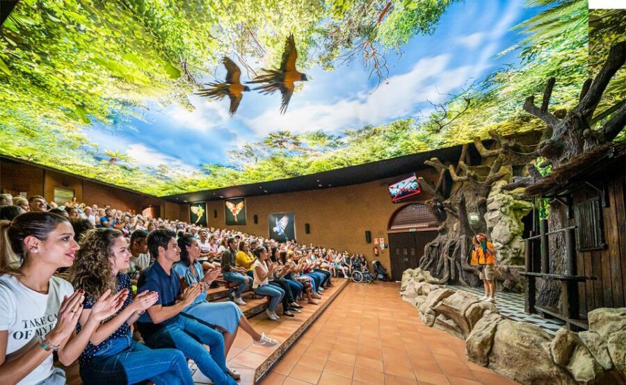 Tenerife: Loro Parque Entry Ticket - Thai architecture, treetops, and the parrot focus that’s more than a performance
