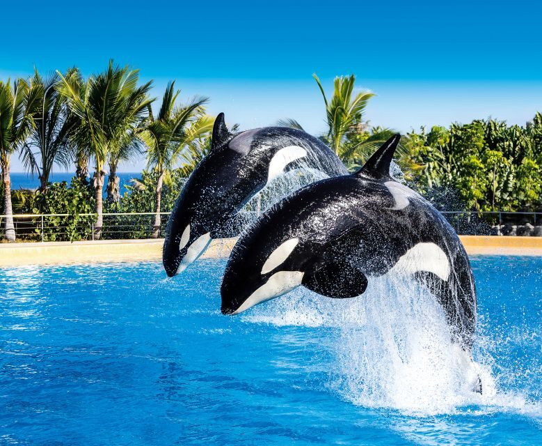 Tenerife: Loro Parque Entry Ticket - Food at Brunelli’s and the park buffet: what to eat and when to rest
