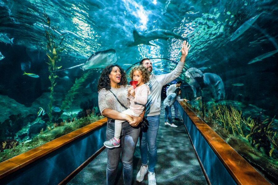 Tenerife: Loro Parque Entry Ticket - Price and value: why $52 can be a smart Tenerife day
