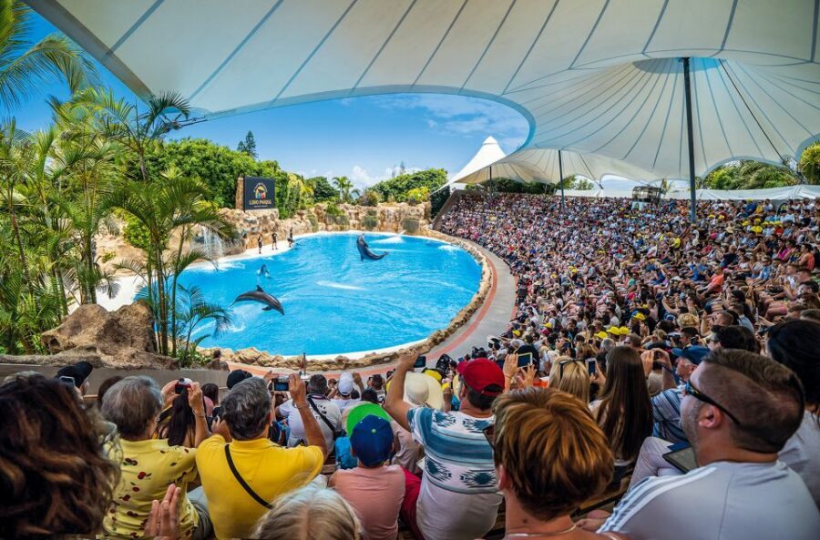 Tenerife: Loro Parque Entry Ticket - Your ticket includes the Orca Ocean show, so schedule around it