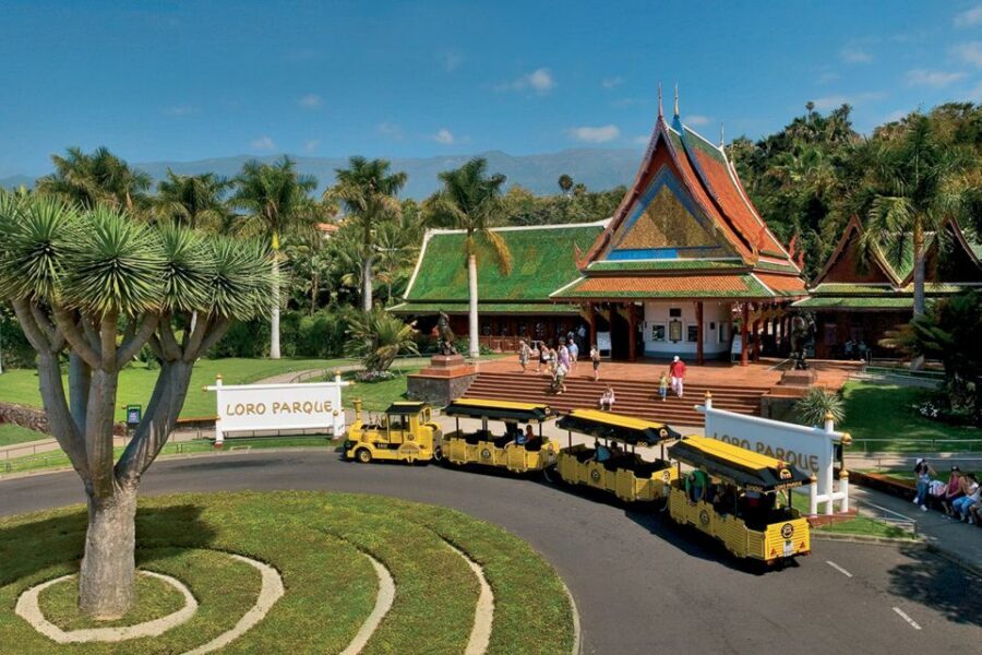 Tenerife: Loro Parque & Siam Park Entry Ticket with Transfer - Value check: why this package often feels like a bargain (and where it can fall short)