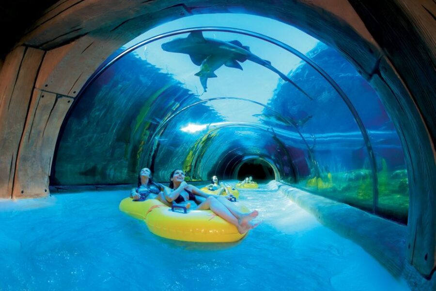 Tenerife: Loro Parque & Siam Park Entry Ticket with Transfer - Who this twin-park ticket is best for on Tenerife