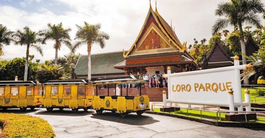 Tenerife: Loro Parque & Siam Park Entry Ticket with Transfer - Loro Parque day: orcas, orchids, and why the shows keep pulling you back