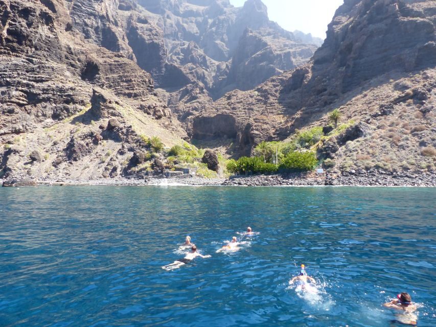 Tenerife: Los Gigantes Whale Watching Cruise by Sail Boat - Price and Value: Is $88 Fair for Tenerife Whale Watching?