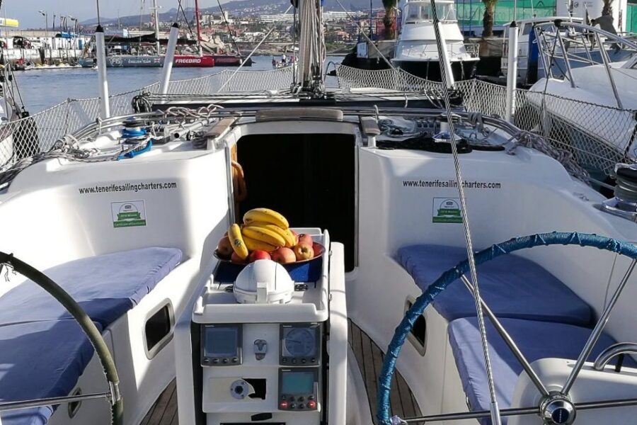 Tenerife: Luxury Private Whale & Dolphin Watching Tour - Anchored in a secluded bay: swimming with turtles (or not)