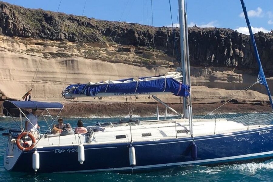 Tenerife: Luxury Private Whale & Dolphin Watching Tour - Should you book this private whale and dolphin cruise?