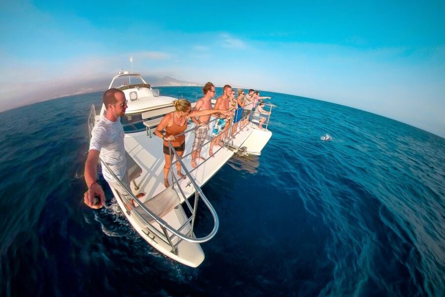Tenerife: Marine-Life Tour with Transfer, Buffet and Drinks - Price and Value: Is $69 a Good Deal?
