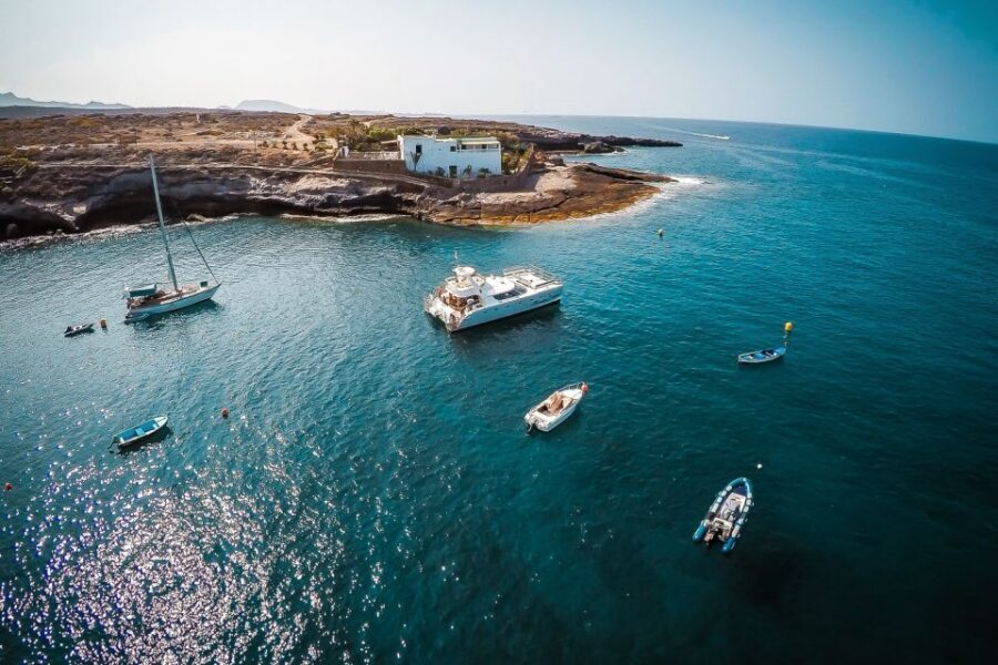 Tenerife: Marine-Life Tour with Transfer, Buffet and Drinks - Who This Tour Is Best For (and Who Might Skip It)