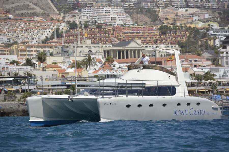 Tenerife: Marine-Life Tour with Transfer, Buffet and Drinks - The Main Event: Finding Whales and Dolphins in Their Own Habitat