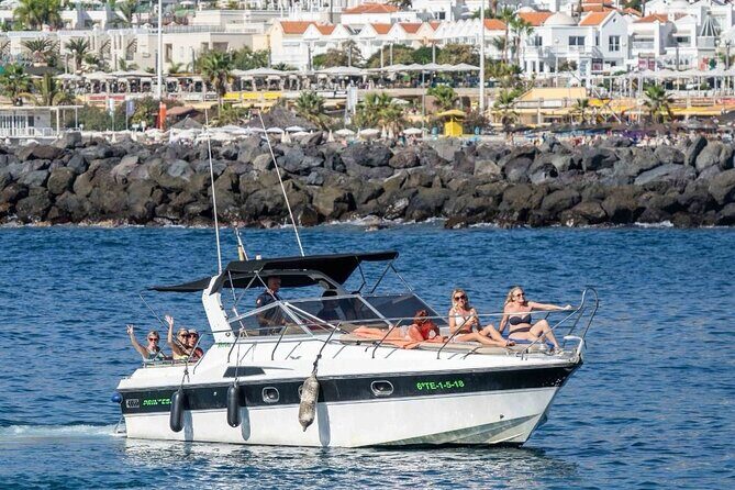 Tenerife Motor Boat Whale Watching & Snorkeling Experience - The 10.8m Boat Setup: Shade, Sunbeds, and Realistic Comfort