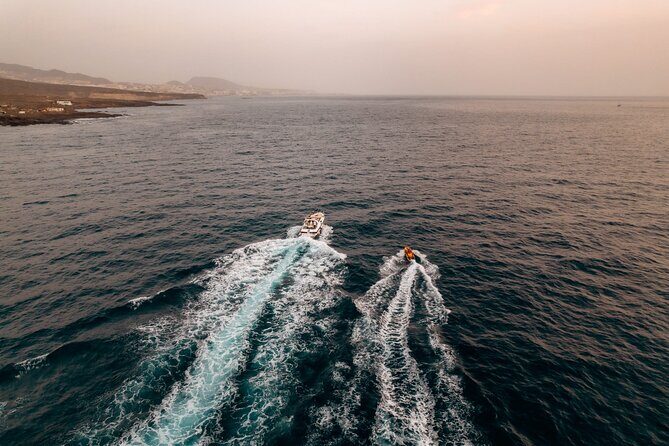 Tenerife Motor Boat Whale Watching & Snorkeling Experience - Pilot Whale and Dolphin Watching: Two Hours That Actually Counts