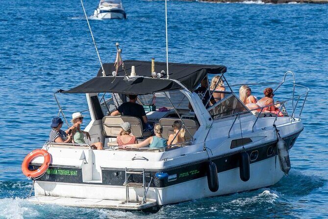 Tenerife Motor Boat Whale Watching & Snorkeling Experience - Southern Tenerife Views From the Water