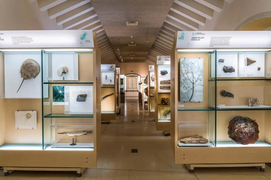 Tenerife: MUNA Museum Admission Ticket and Teide Legend Tour - The Teide Cable Car Visitors’ Centre: Science and Legend with a mummy reproduction