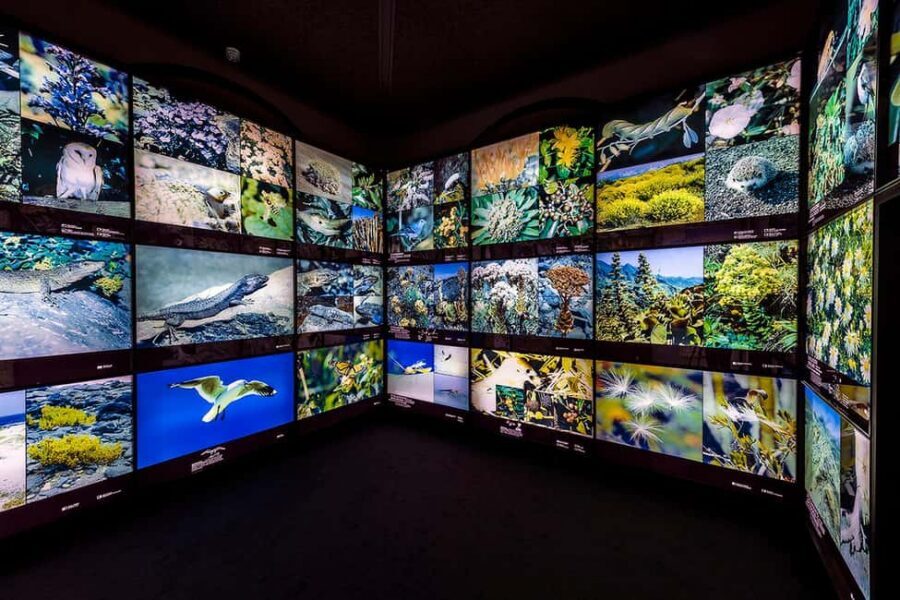 Tenerife: MUNA Museum Admission Ticket and Teide Legend Tour - Getting there: TF-21 km 43 and the stop you don’t want to miss