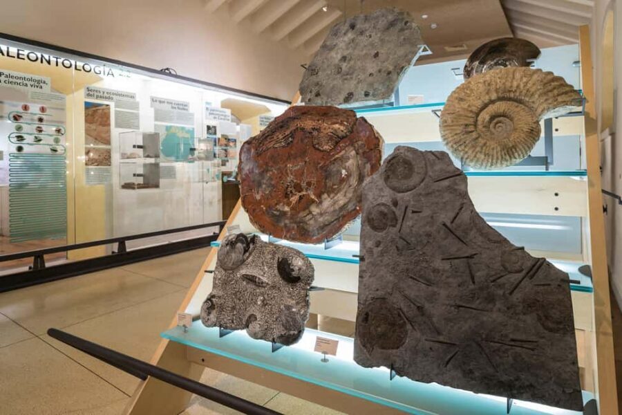 Tenerife: MUNA Museum Admission Ticket and Teide Legend Tour - Rules and restrictions: keep it simple and you’ll be fine