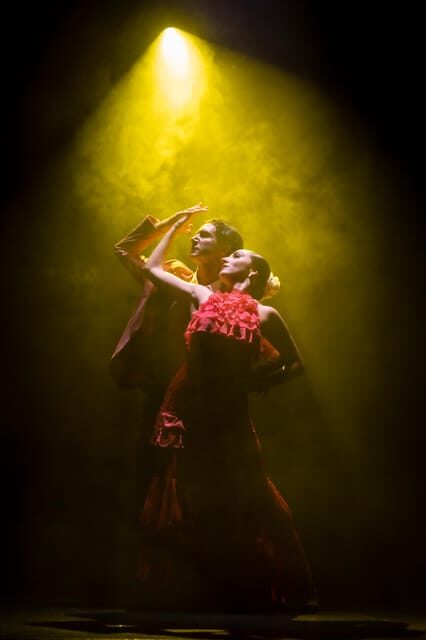 Tenerife : Olé Flamenco Show by Fran Chafino Ticket - Two-act flow: Spanish dance first, then pure flamenco