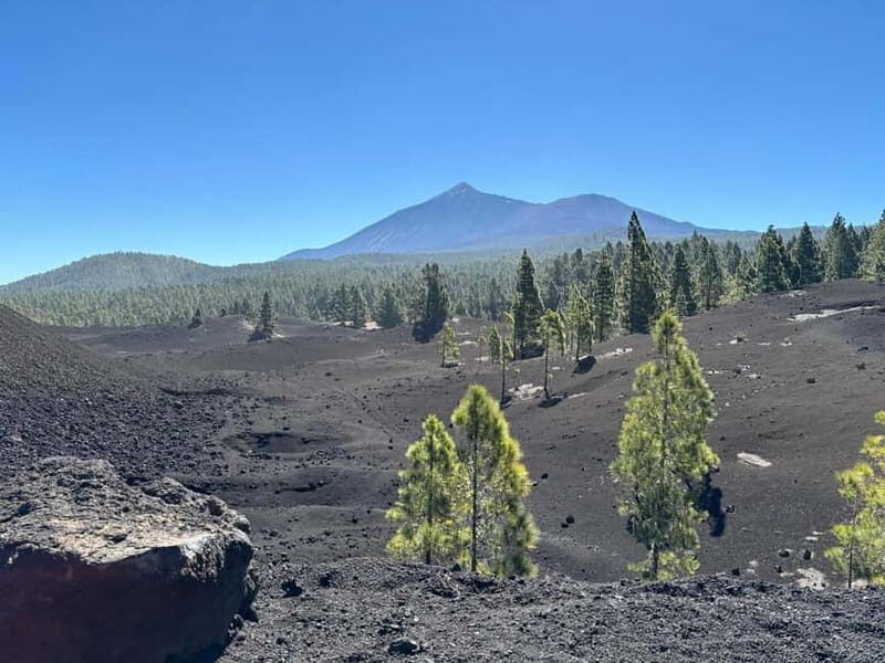 Tenerife: premium e-bike ride at Chineyro volcanic area - The full day plan: pickups, safety check, and two volcanic zones